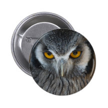 Macro Black and White Owl Pinback Buttons