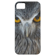 Macro Black and White Scops Owl