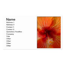 Macro Hibiscus Business Card Templates