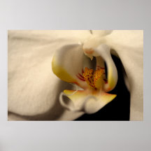macro orchid print