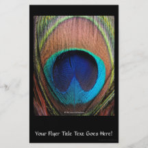 Macro Peacock Feather Rich Blues Photographic Full Color Flyer