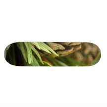 Macro Photo Of Cone On Advent Wreath Skateboard Deck