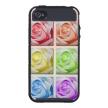 Macro Rainbow Roses