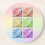 Macro Rainbow Roses Beverage Coaster