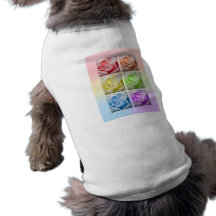 Macro Rainbow Roses Dog Clothing