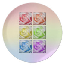 Macro Rainbow Roses Party Plates