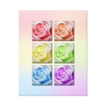 Macro Rainbow Roses Portrait Gallery Wrapped Canvas