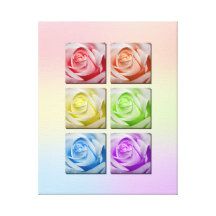 Macro Rainbow Roses Portrait Gallery Wrapped Canvas