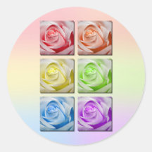 Macro Rainbow Roses Stickers