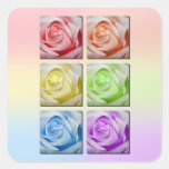 Macro Rainbow Roses Stickers
