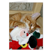 Mad at Santa Cards