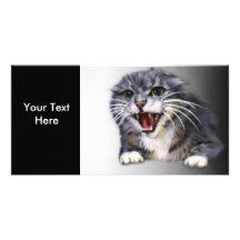 Mad Grey Cat Photo Card