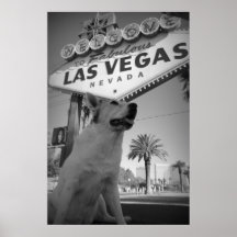 Maggie - Las Vegas Sign Poster