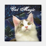 Magic Cat Halloween magnet