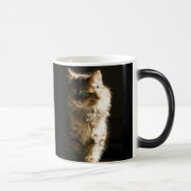 Magic Kitten Mugs