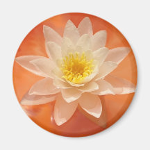 magic nature2 refrigerator magnet