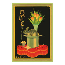 Magic Tricks posters