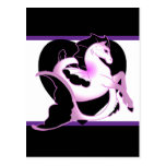 Magical Sea Horse Collection Post Card