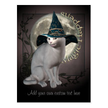 Magical White Cat Postcard