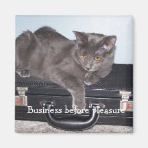 magnet- Business before pleasure