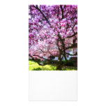 Magnificant Magnolia Photo Card Template