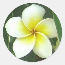 Magnolia Extreme Stickers