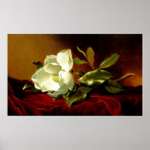 Magnolia on Red Velvet - Print