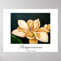 Magnolia poster
