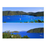 Maho Bay Collage, St. John, U.S.V.I. Postcard