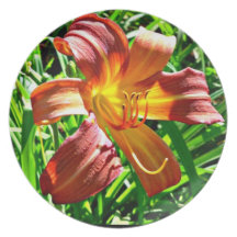Mahogany red yellow tiger lily plate