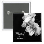 Maid of Honour Alstroemeria Lily Button