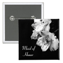 Maid of Honour Alstroemeria Lily Button