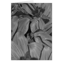 Maine_Black+White_75 Card