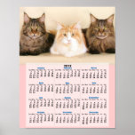 Maine coon cats 2012 calendar poster