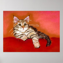Maine Coon Kitten Cat Portrait Print