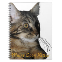 Maine Coon Kitten Note Book