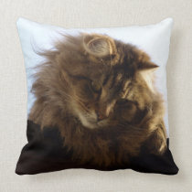 Maine Coon Long-hair Tabby Cat Animal Pet pillows