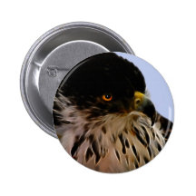 Majestic eagle pin