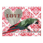 Majestic Macaw Love Damask  Postcard