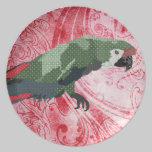 Majestic Macaw Red Plate plates