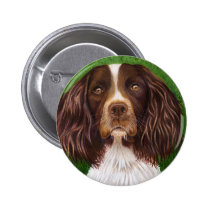 Major - English Springer Spaniel buttons