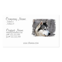 Malamute Business Card