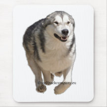 malamute mousepads