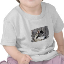 Malamute Photo Baby T-Shirt