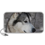 Malamute Photo Speakers