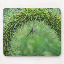 Male Black Widow Spider Mousepad