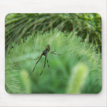 Male Black Widow Spider Mousepad