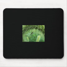 Male Black Widow Spider Mousepad
