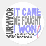 Male Breast Cancer Survivor It Came We Fought Round Stickers