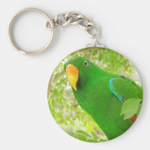 Male Eclectus Parrot Key Chains